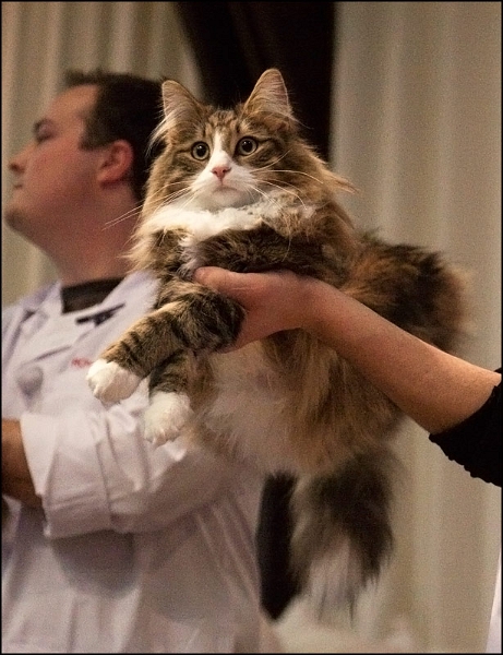 West-de-Tsavo 6.jpg - Inconnu